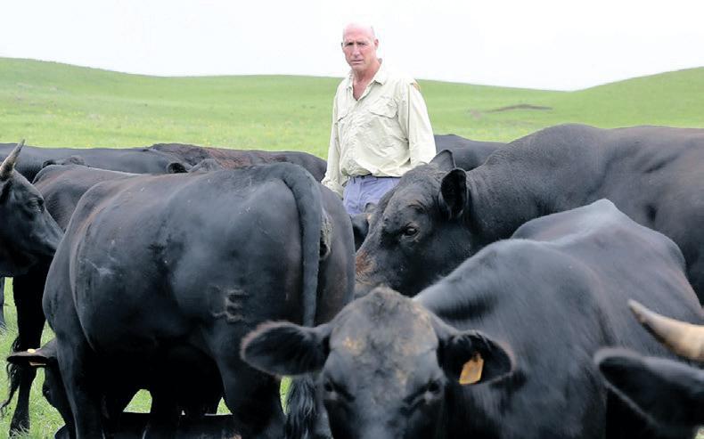 South African red meat producers concerned about market spillover effects of Trump tariffs