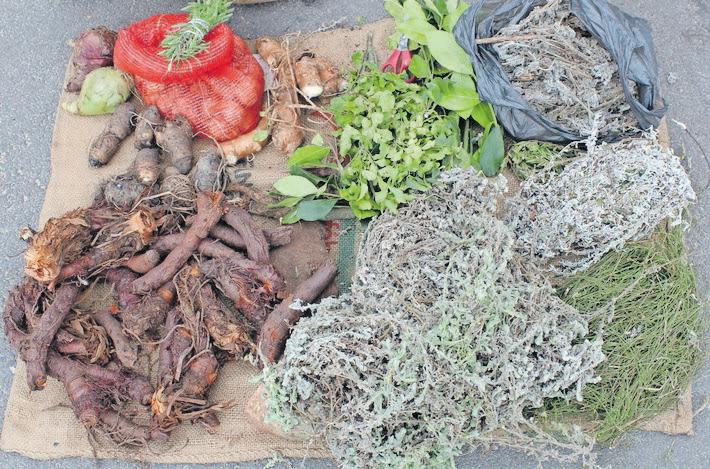 New regulations aim to formalise traditional practices in SA