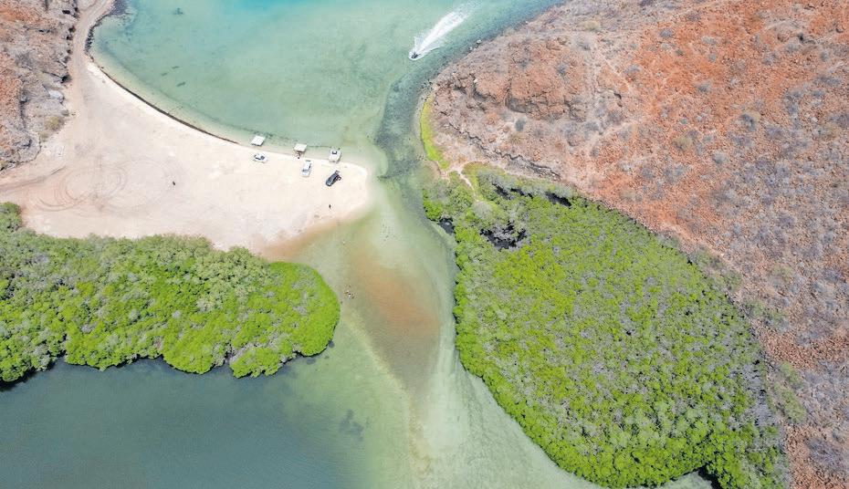 A once-dying Mexican river delta is being slowly nursed back to life