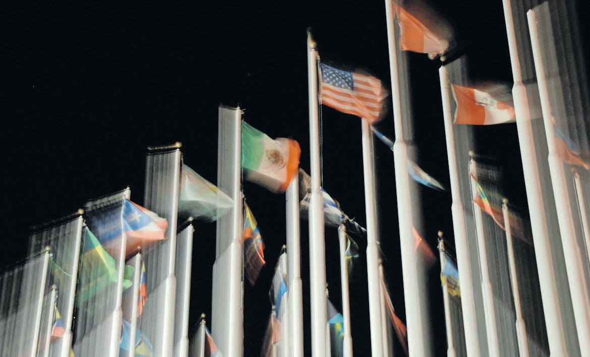 South Africa must diversify trade partnerships beyond US