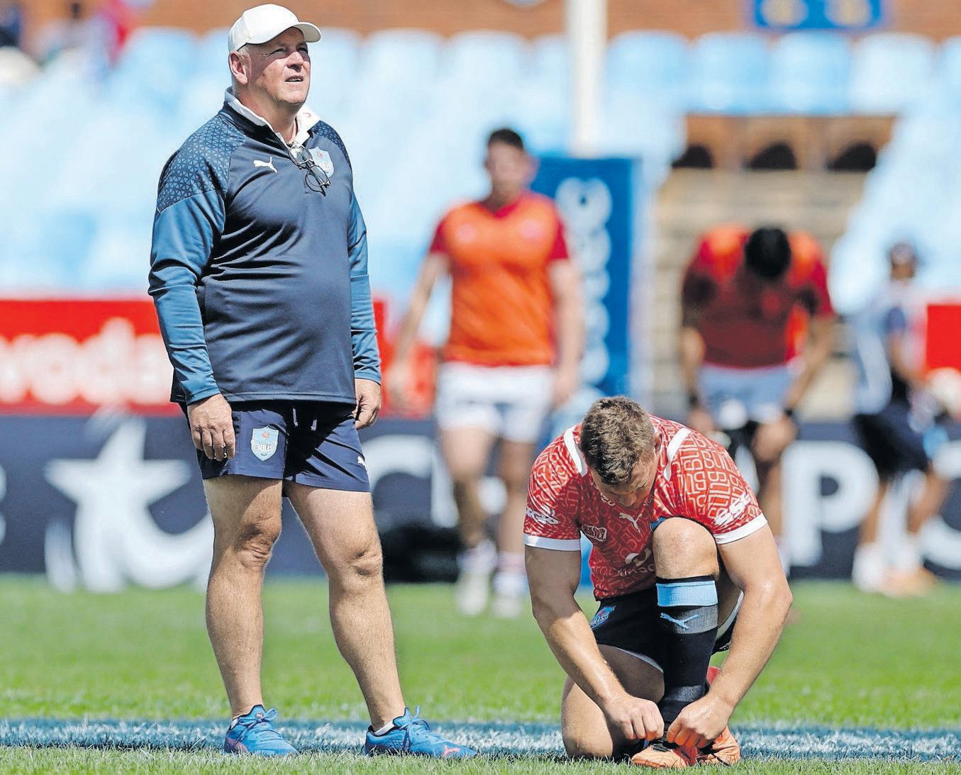 Bulls must beware underdog bite from Cardiff in Loftus showdown