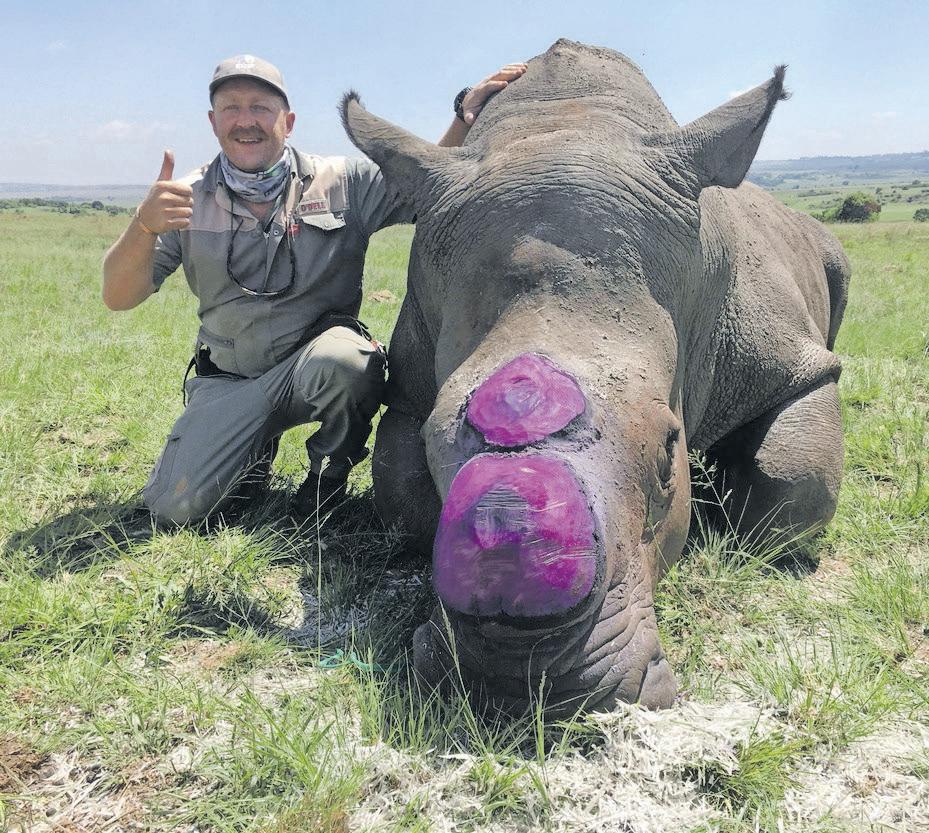 ‘It’s not vets alone who are saving rhinos’