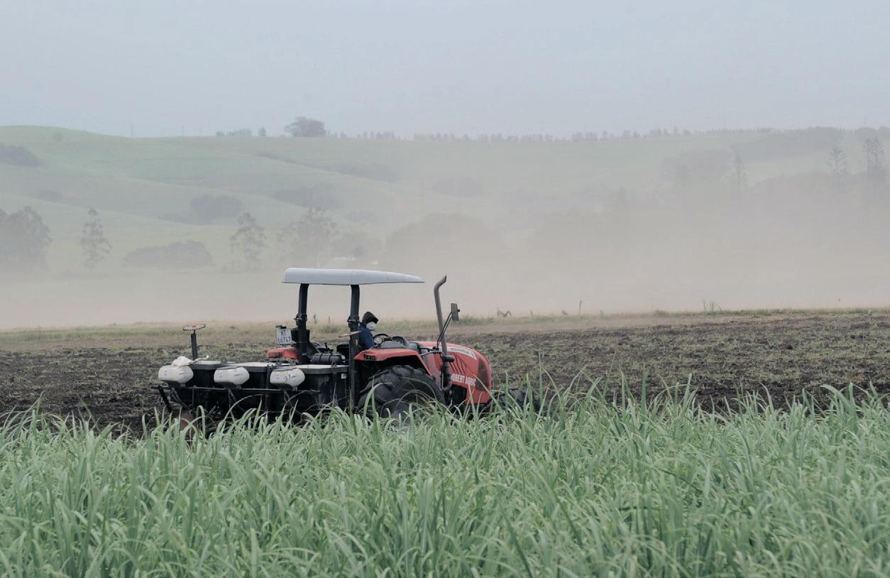 Navigating SA's 2025 grain outlook: a delicate balance between abundant harvests and rising food costs