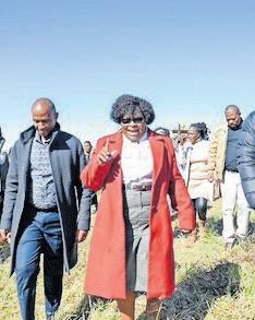 Progress in combating foot-and-mouth disease in KZN