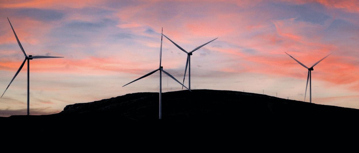 Philanthropy's role in powering SA's Just Transition