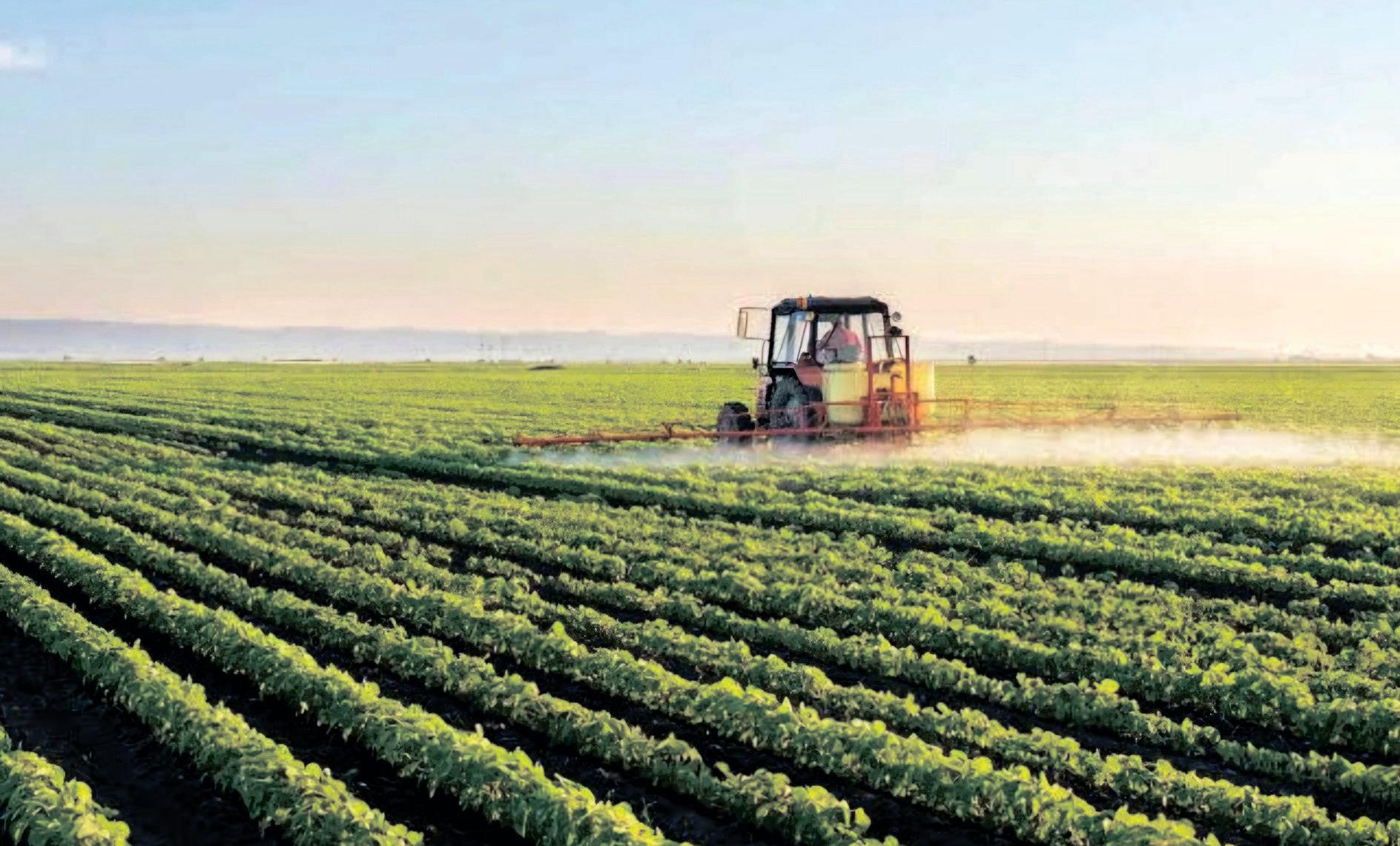 Farmer brain drain could be worse than export loss for SA agriculture