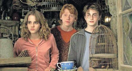'Harry Potter' series casts iconic trio