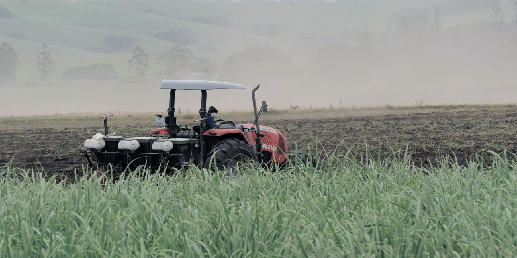 Most South African farmers are black: why Trump got it so wrong