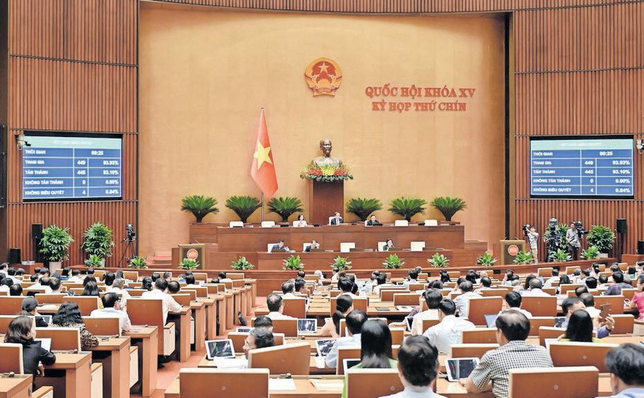 Vietnam backs merging of provinces