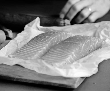 Lab-grown salmon: sustainable seafood, no ocean needed