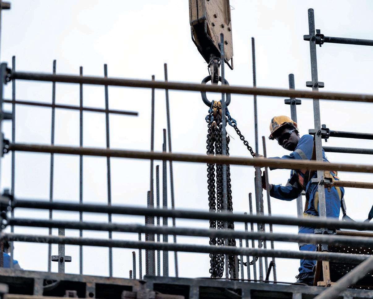 Construction industry sees green shoots of growth off a low base - BER's Lemboe