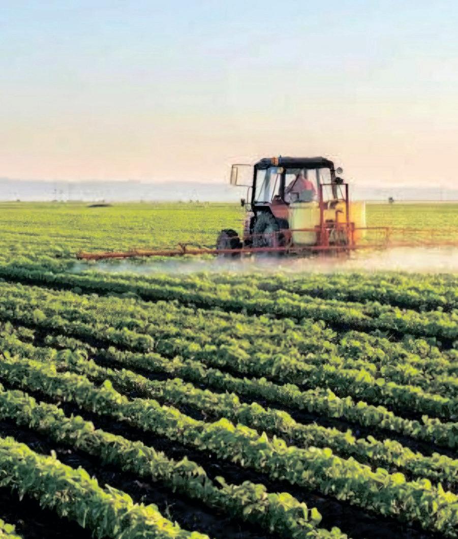 Addressing the agriculture, food security, and climate change nexus is an economic imperative