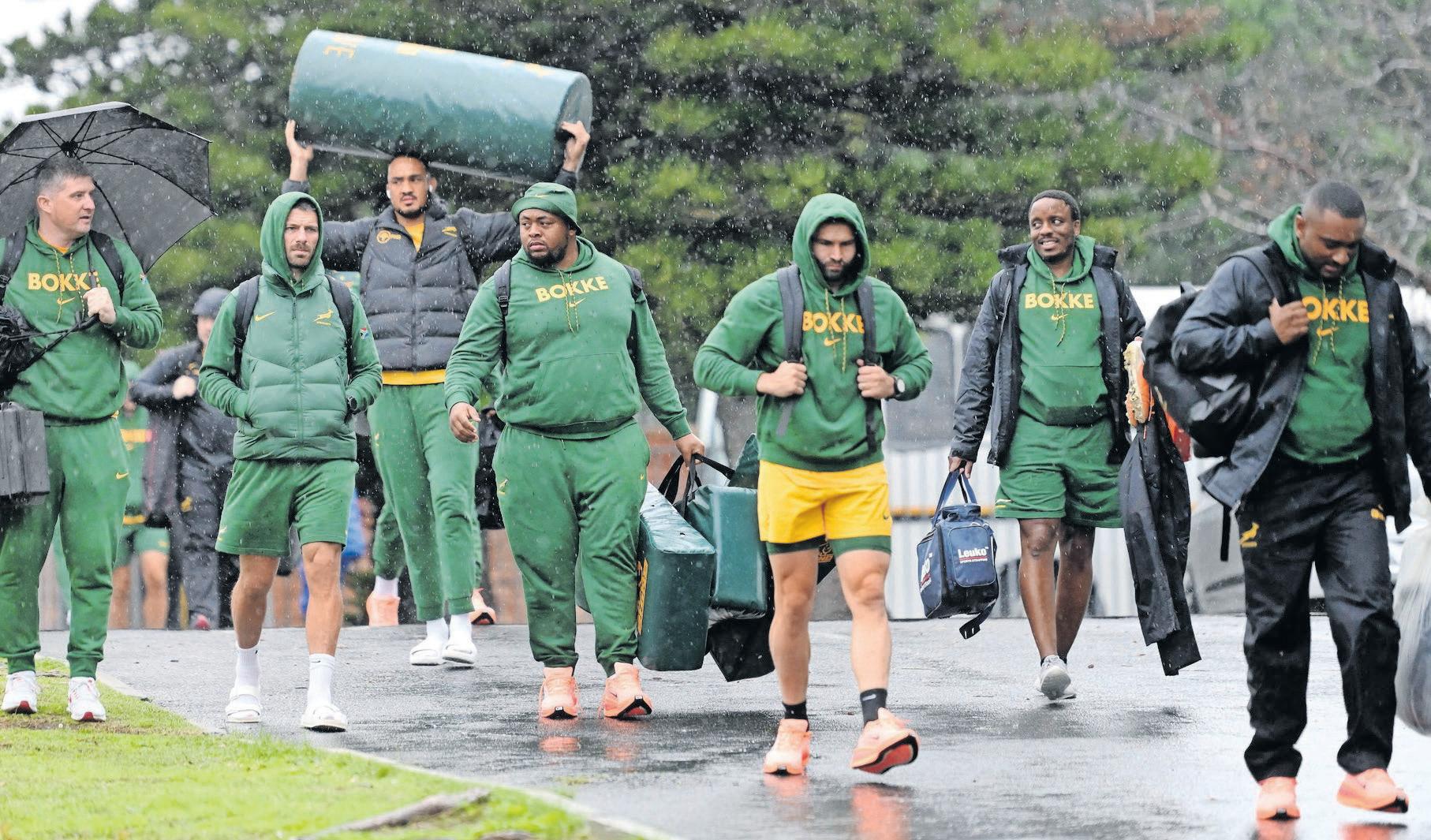 Springbok desire was always there, says excited Jean-Luc