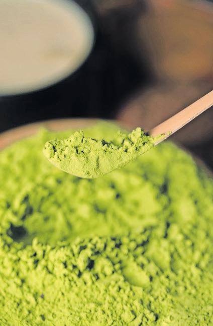 Matcha: The Japanese green gold going global