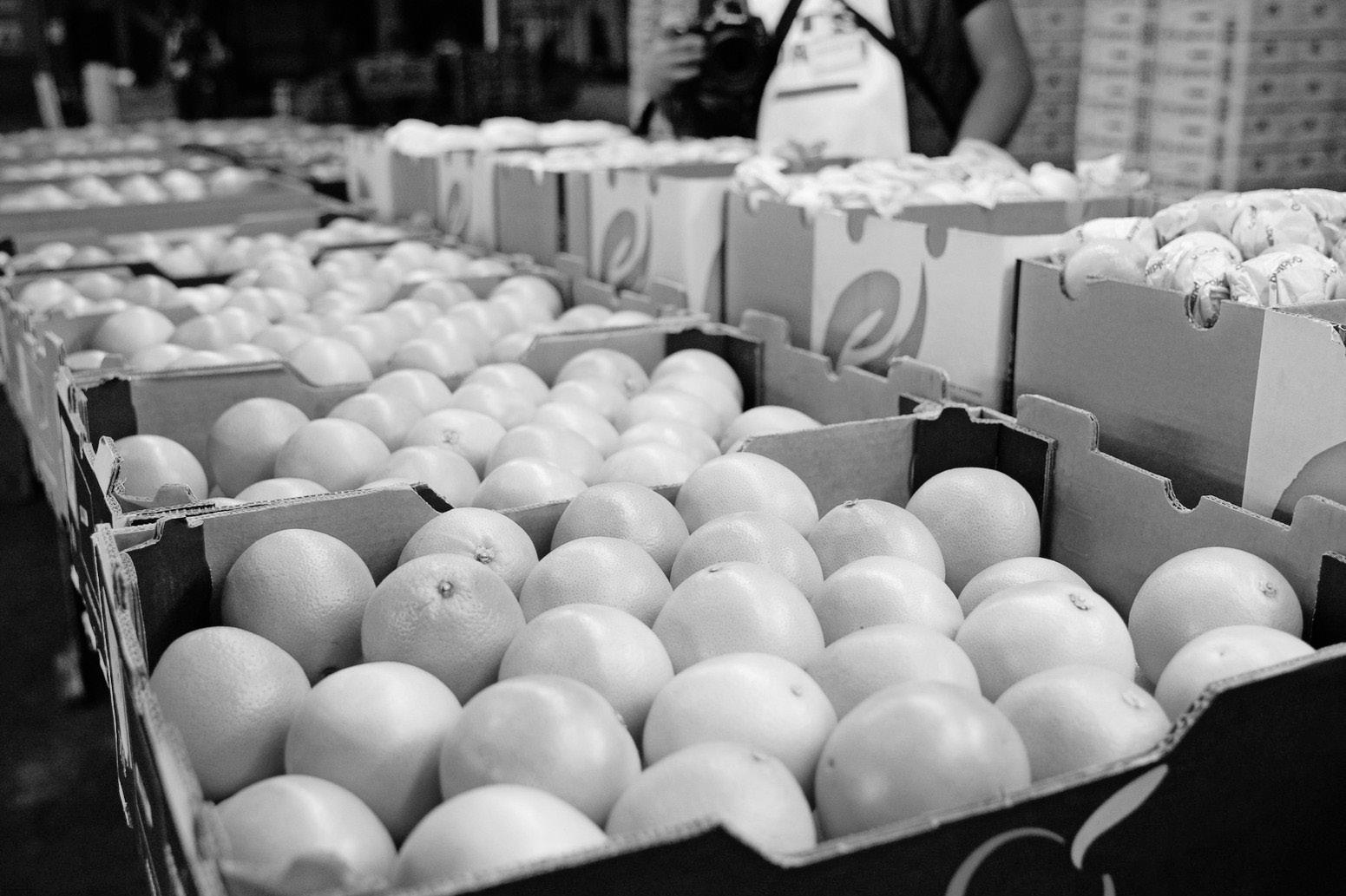 US tariffs will test South Africa's economic resilience