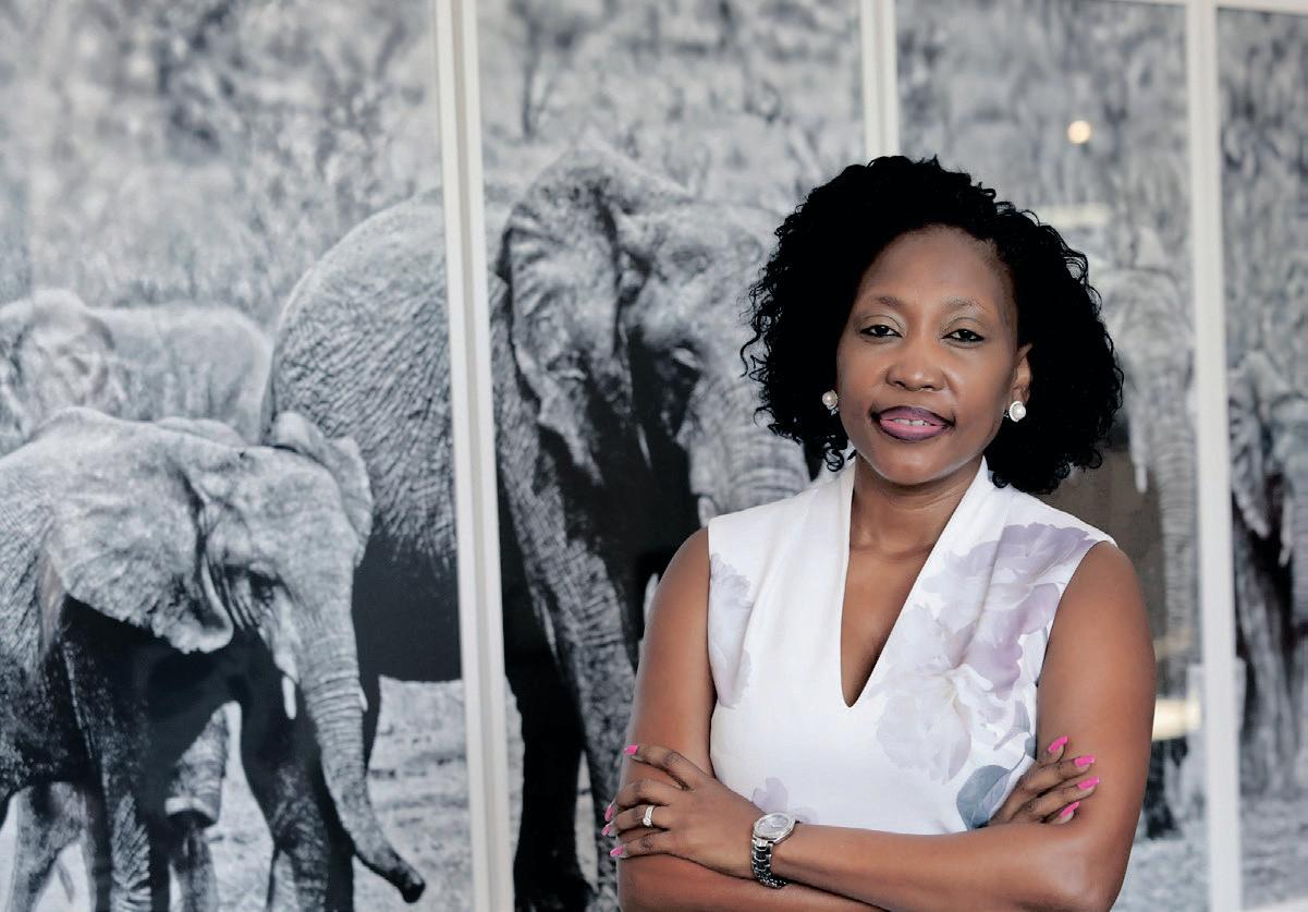 Mixed results for Bidvest as acquisitions pave the way for future business success