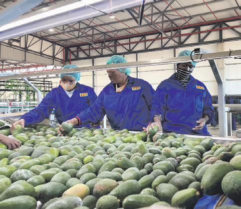 South-South ties hold key amid tariffs