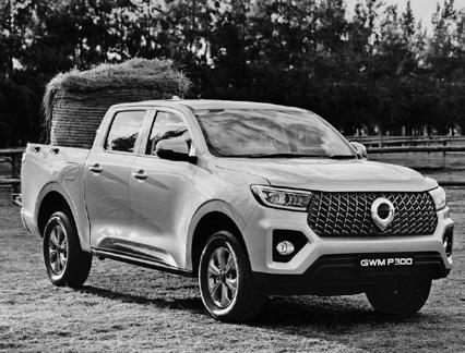 An updated P300 SX workhorse model launched