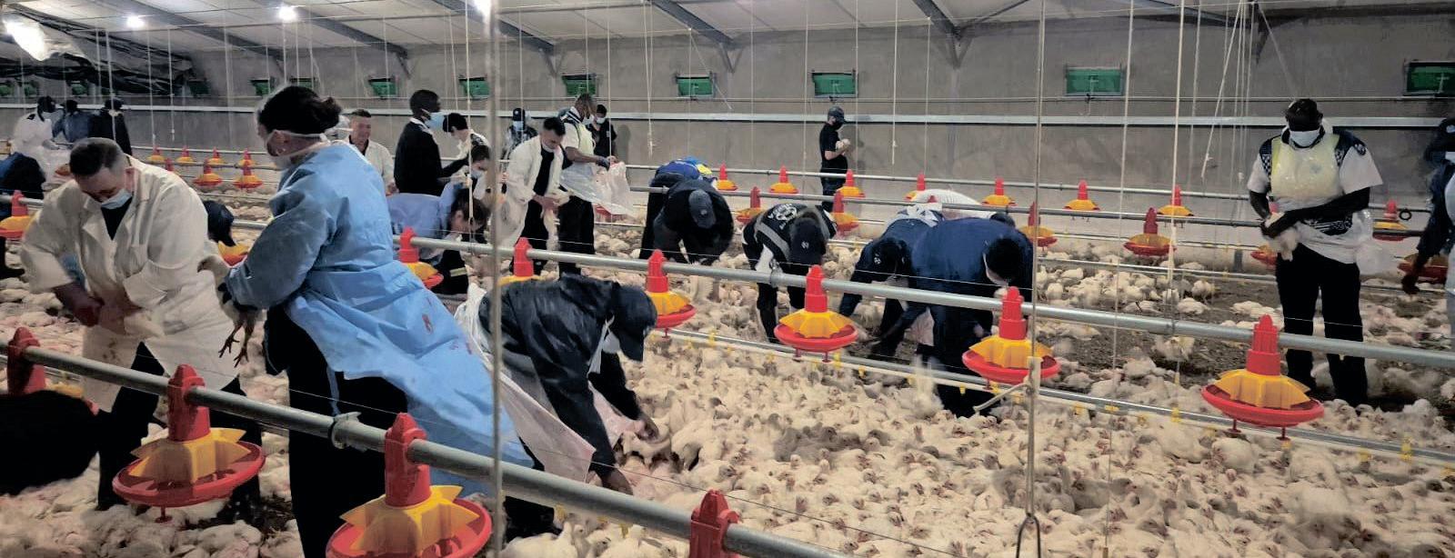 PIC hails Daybreak Foods as a model for business rescue success amid turnaround progress