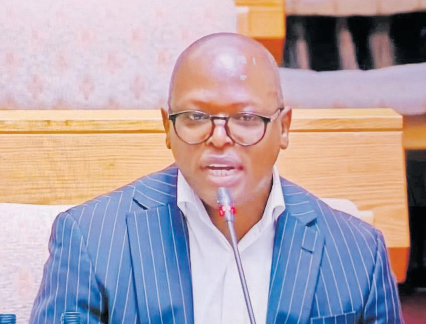 How did 'Cat' Matlala win a R360m SAPS tender? Fani put on the spot