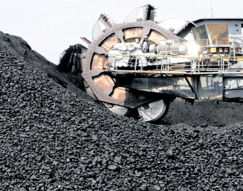 Agri-processing and basic service delivery as foundation for a just transition in Mpumalanga