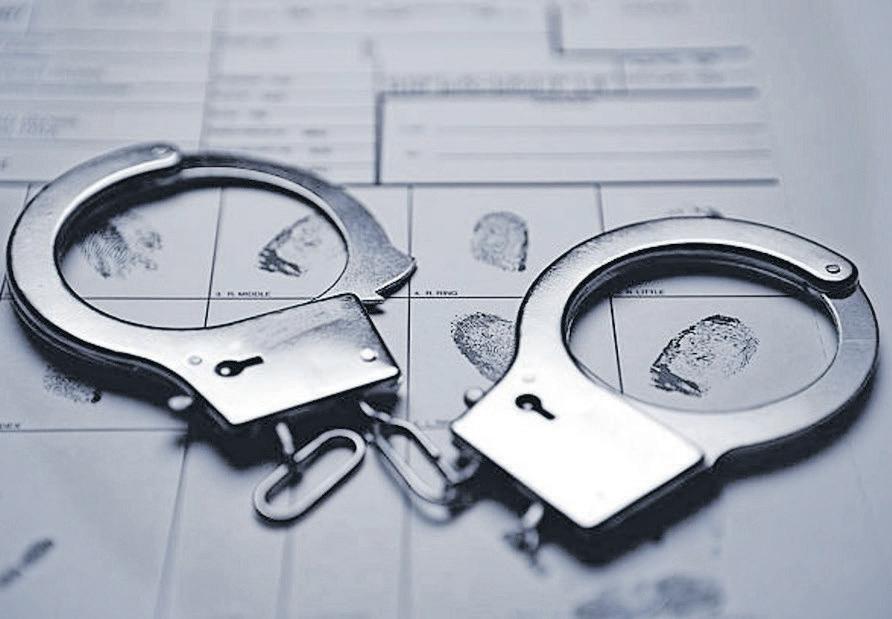 Breakthrough in brutal Limpopo farm murder case: Police capture suspect, expand search