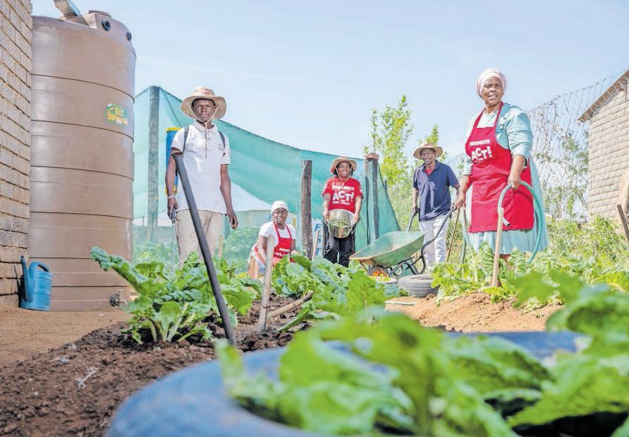 How South Africans are adapting with innovative solutions as service delivery falters