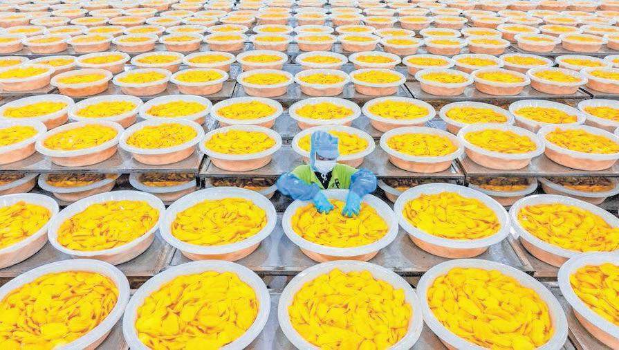 RCEP boosts Cambodian trade growth