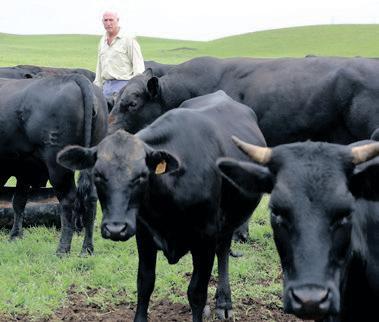 National Red Meat Producers Organisation welcomes Foot and Mouth Disease vaccination strategy