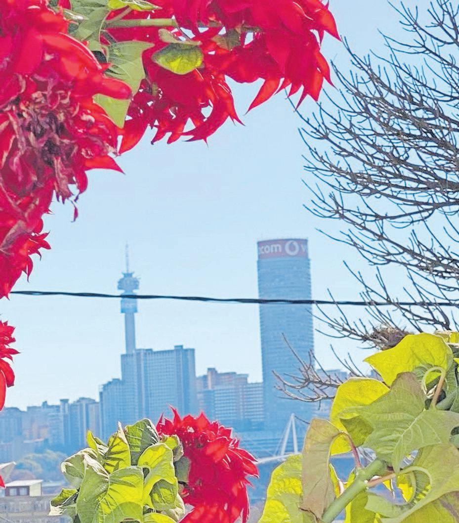 NGOs to perform site visits to rented Johannesburg properties