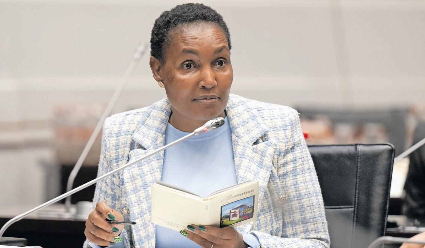 Minister Simelane outlines new housing strategies for flood-affected communities