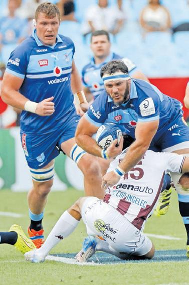 Coetzee hails Bulls’ mojo