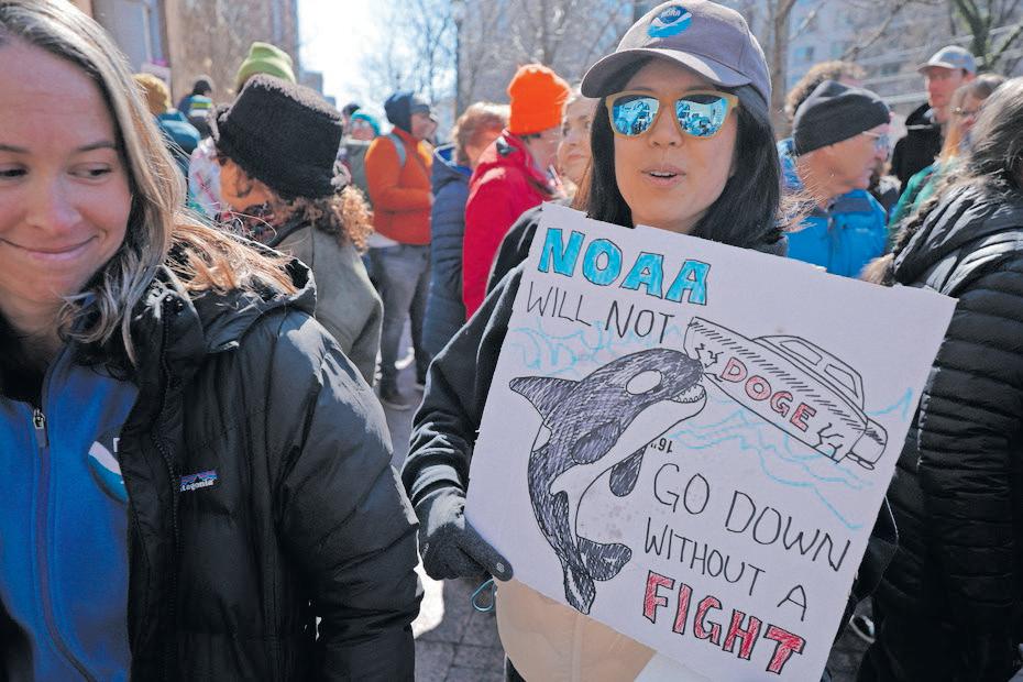 Regulatory freeze throws fishing industry into chaos