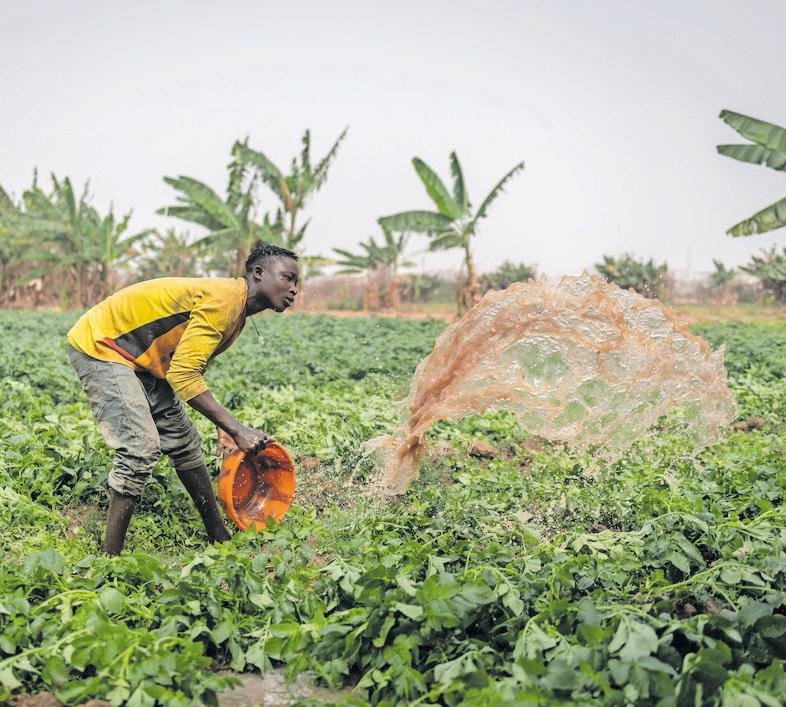 Agri-tech innovations