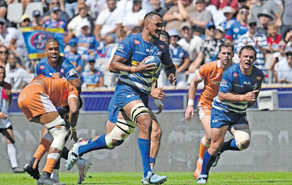 Stormers face crucial final four home games