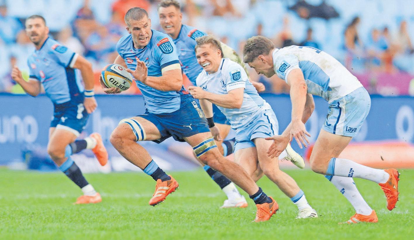 White: Not about bonus points as Bulls embrace knockout rugby