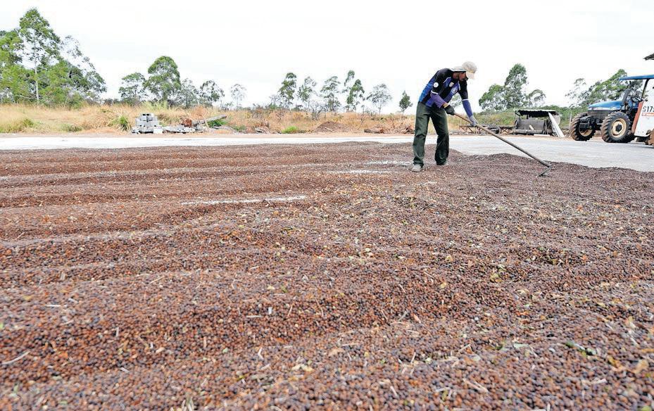 Drought reshapes Brazil farming