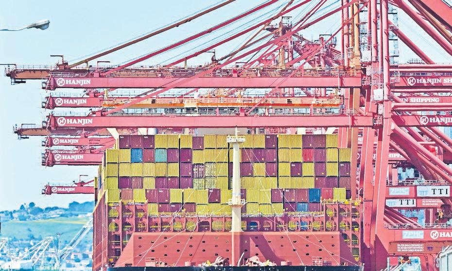 Illegal timber trade links to US, Europe