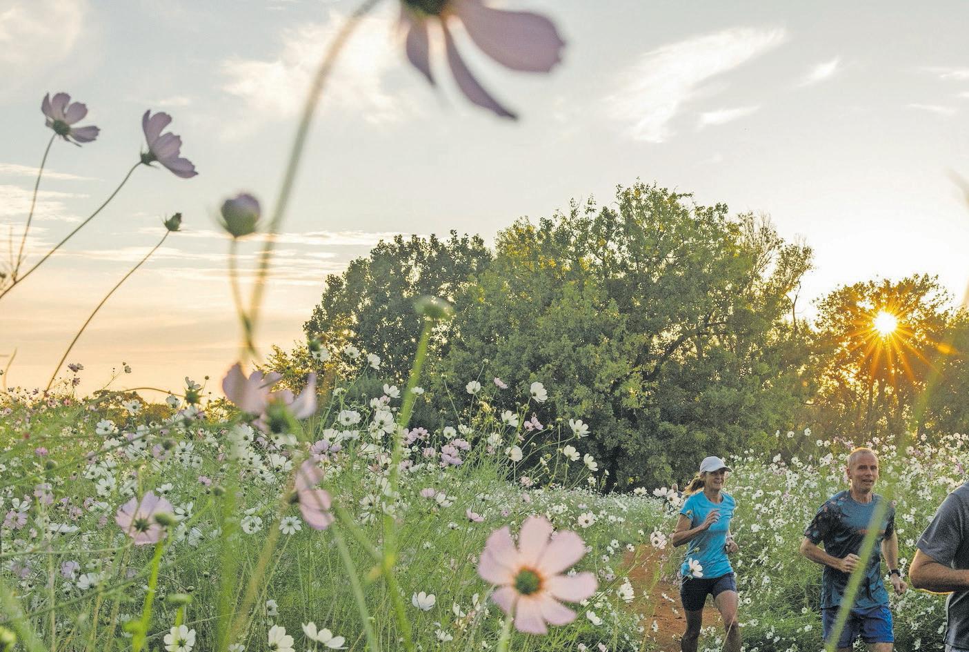 Collective effort for a sustainable future