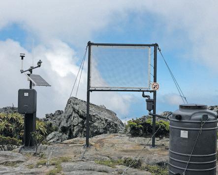 Vapour vision City reviewing fog harvesting plan for Table Mountain