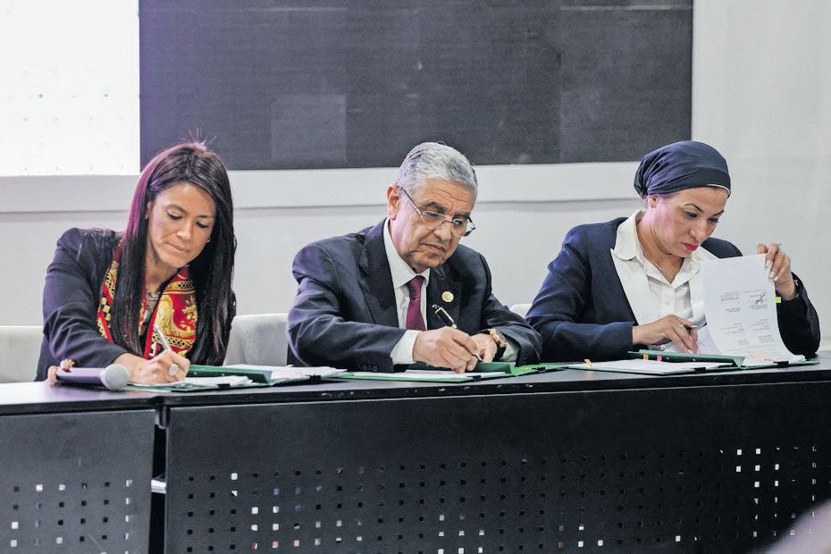 Egypt tourism push puts pristine Red Sea beach at risk