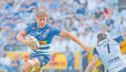 Stormers' Roos 'staying present' in URC charge