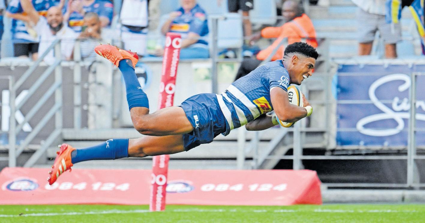 Should Feinberg-Mngomezulu or Pollard be flyhalf at Eden Park?