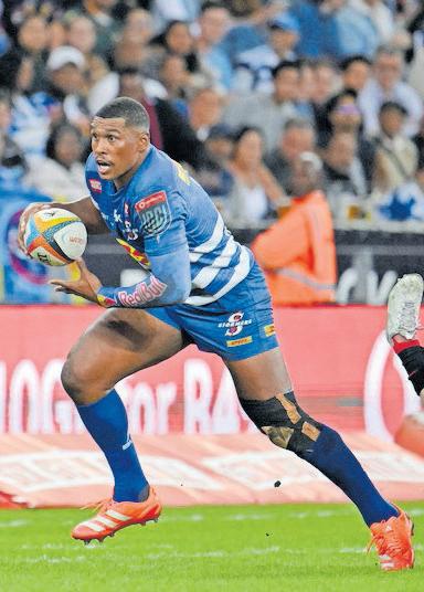 Bulls, Sharks, Stormers must win the URC quarters