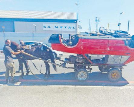 Horse owner faces cruelty charges