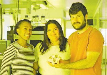 Study recovers genetic data from extinct relative of humans