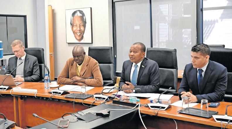 Cape Town adopts motion calling for policing devolution