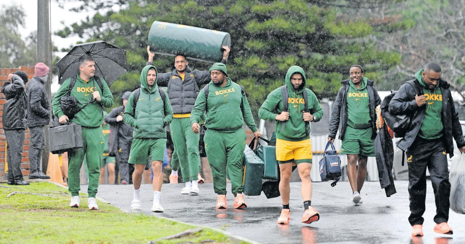 Jean-Luc: Springbok desire was always there