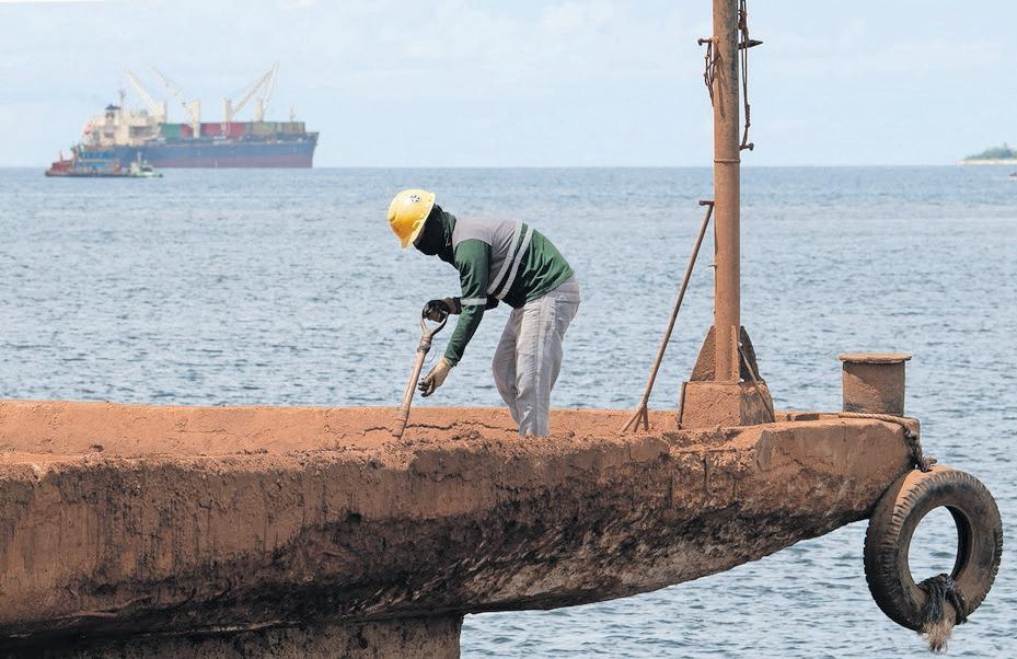 Biodiversity hotspot pushes back against mining
