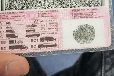 Fees, fines for expired driving licences eliminated